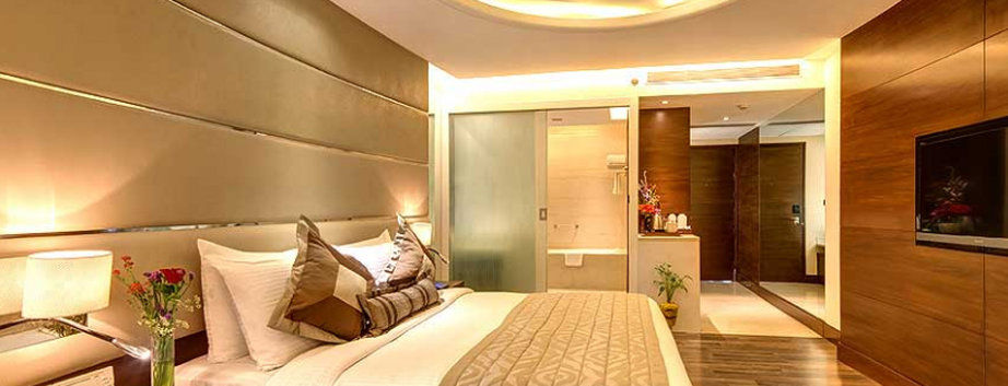 Hotel The Hindusthan International 4*